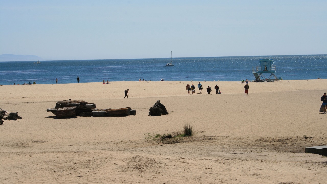 Photo of Others in Seabright