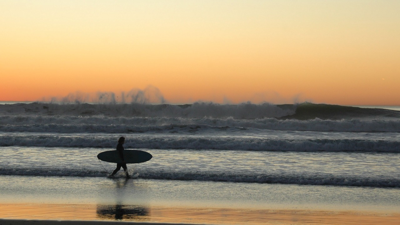 Photo of Others in Seabright