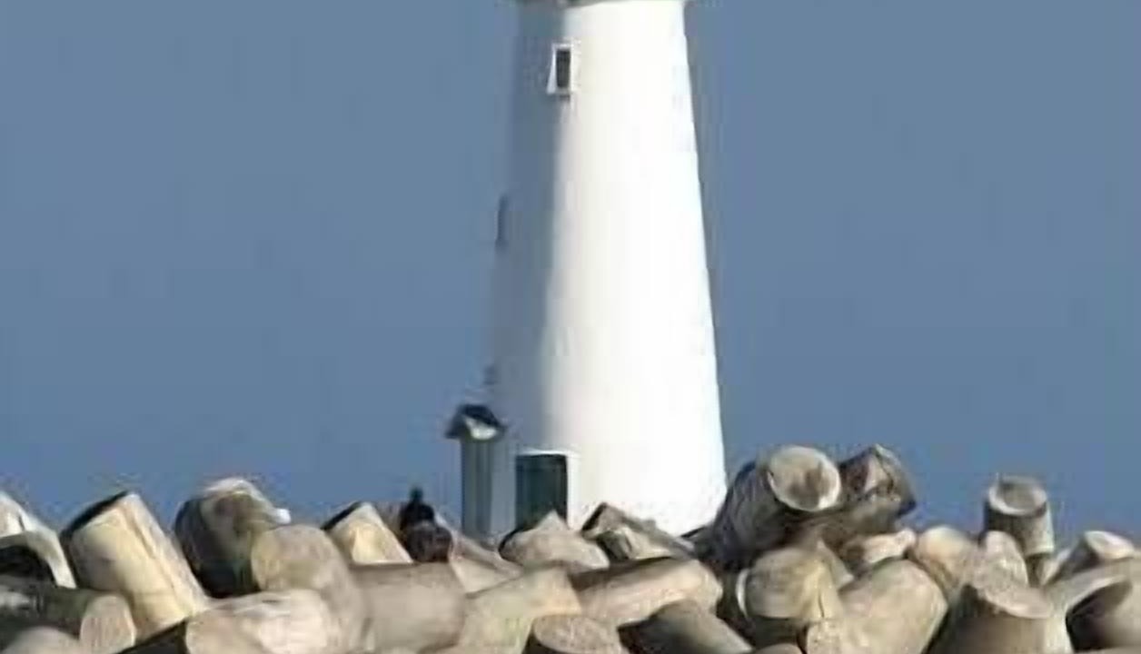 Photo of Others in Seabright