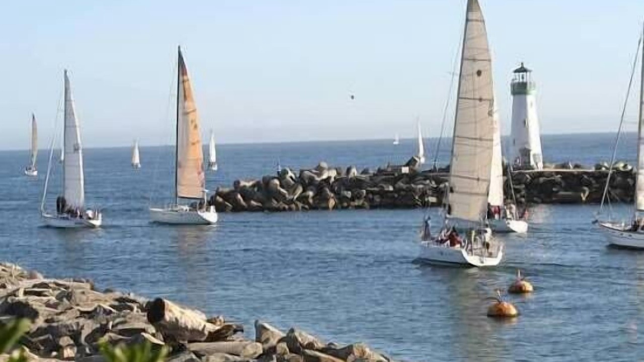 Photo of Others in Seabright