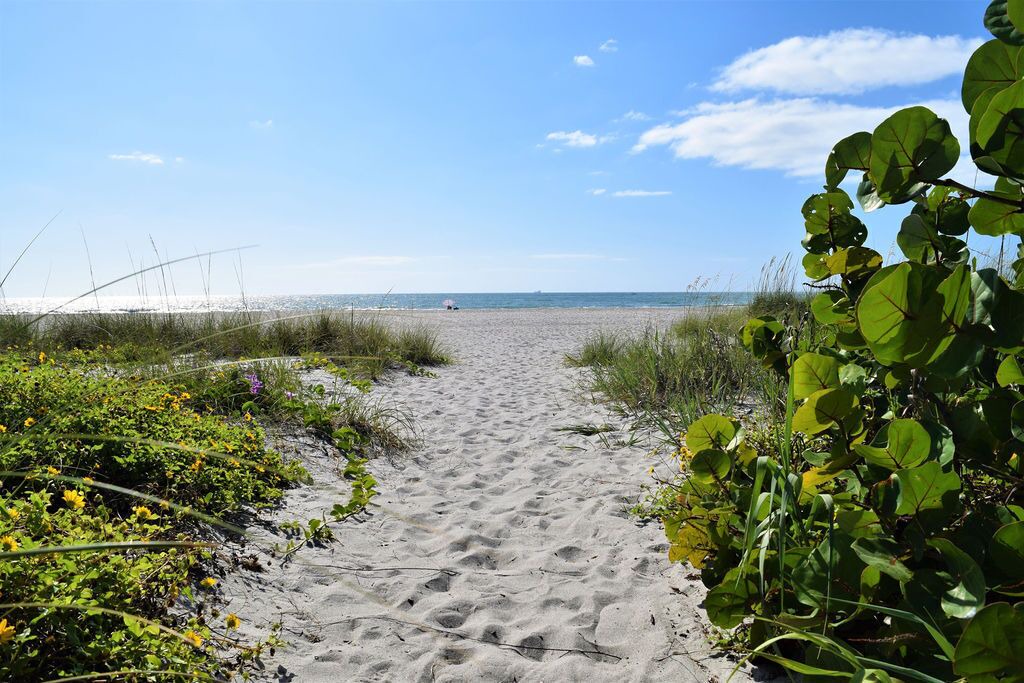 Photo of Others in Port Canaveral