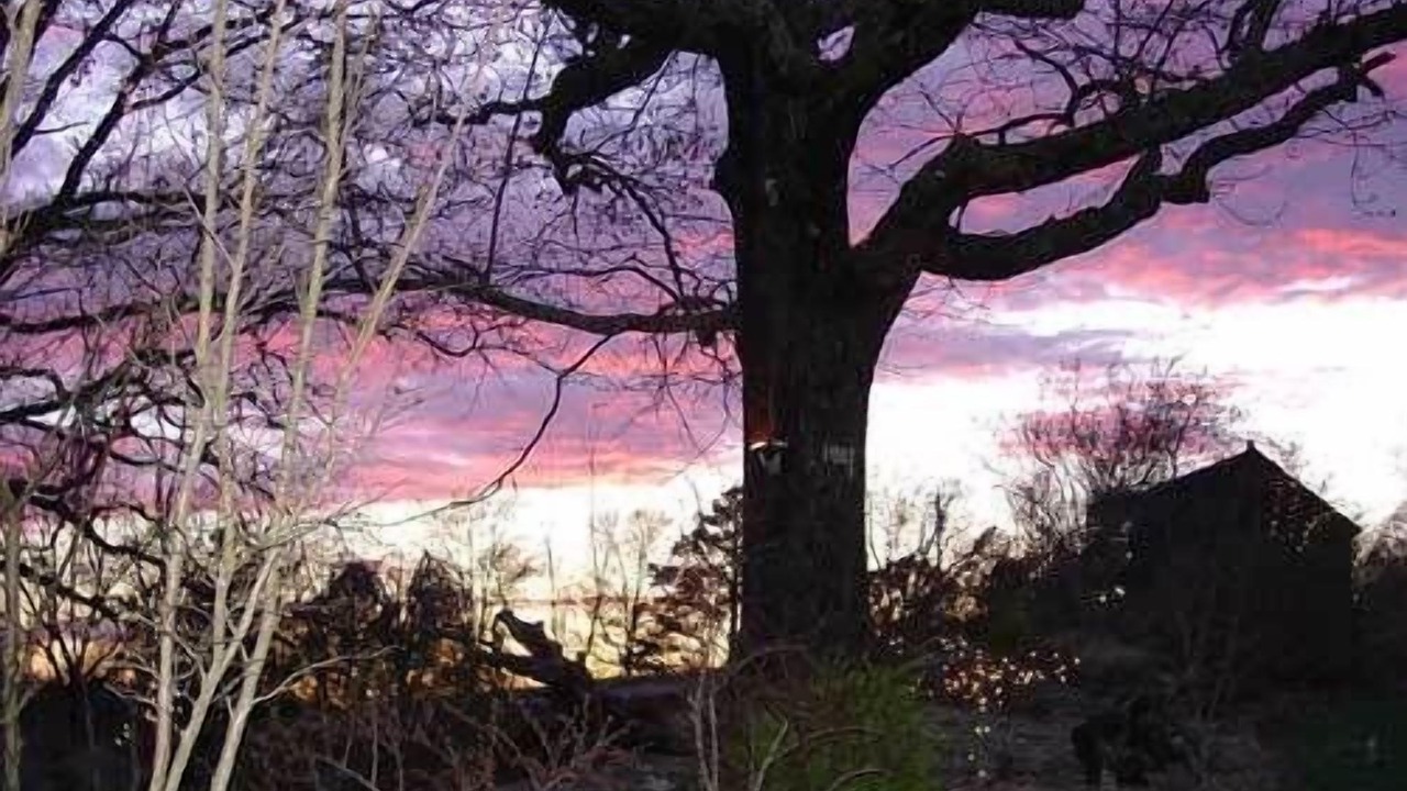 Photo of Outdoor in Eureka Springs