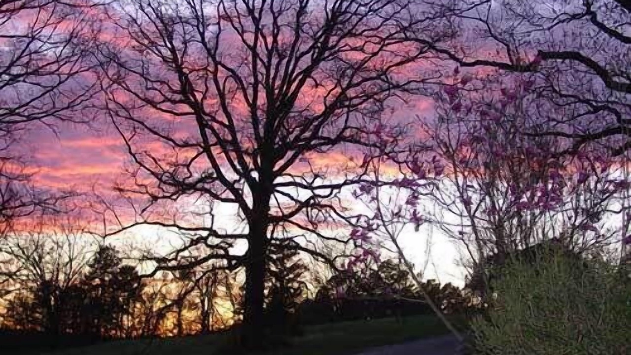 Photo of Outdoor in Eureka Springs