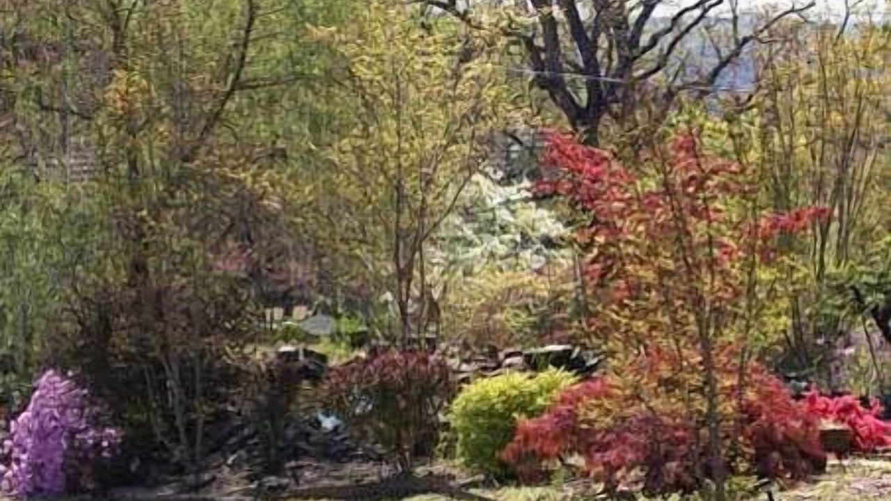 Photo of Outdoor in Eureka Springs