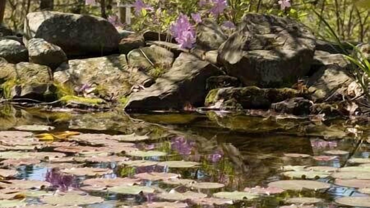 Photo of Outdoor in Eureka Springs