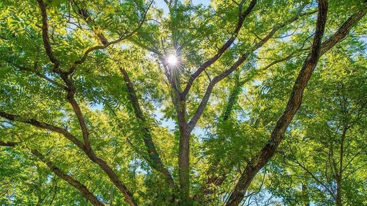 Photo of Outdoor in Eureka Springs