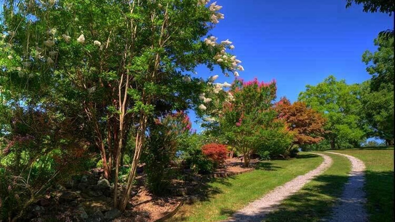 Photo of Outdoor in Eureka Springs