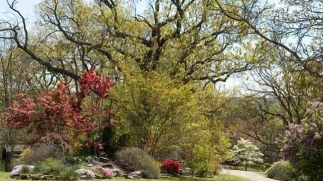 Photo of Outdoor in Eureka Springs