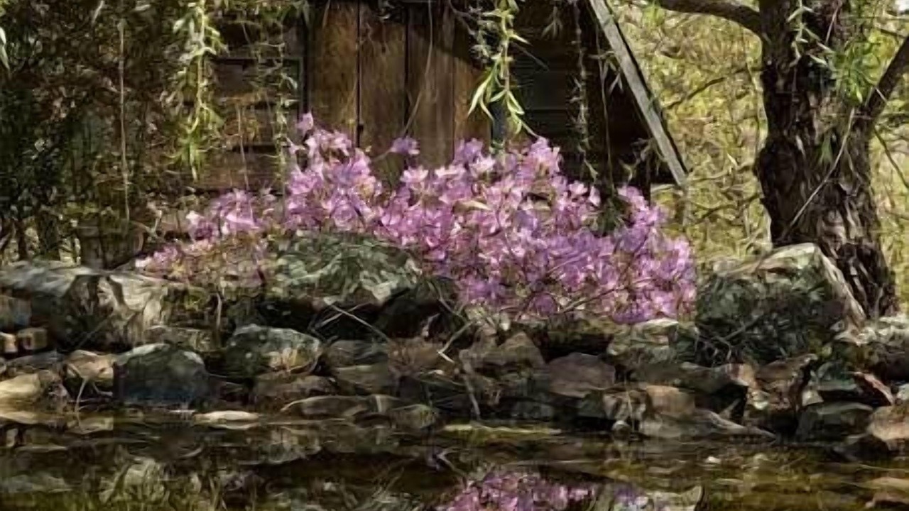 Photo of Outdoor in Eureka Springs