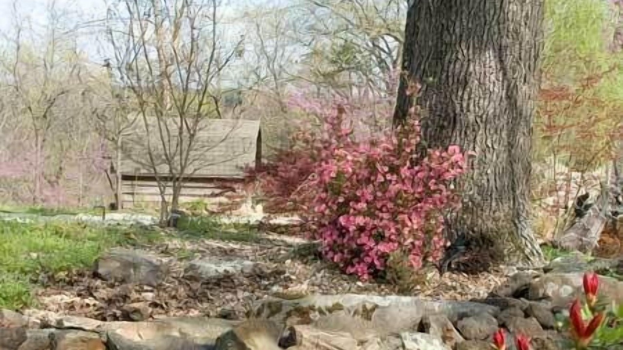 Photo of Outdoor in Eureka Springs