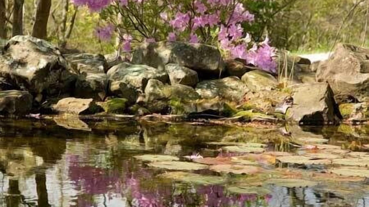 Photo of Outdoor in Eureka Springs