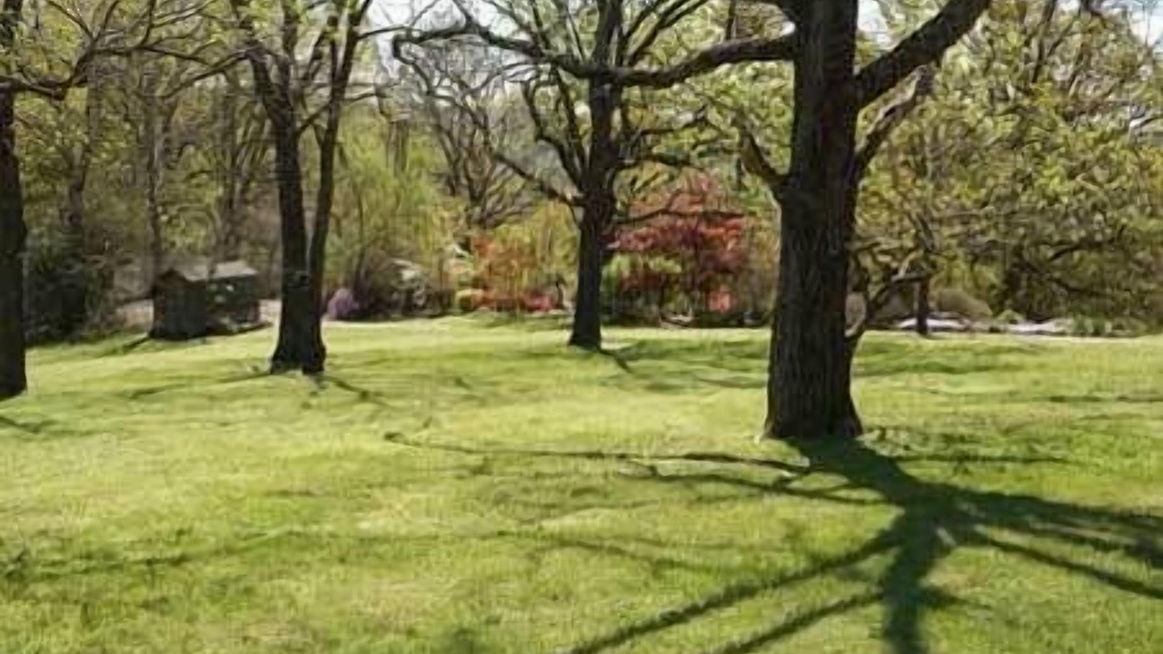 Photo of Outdoor in Eureka Springs