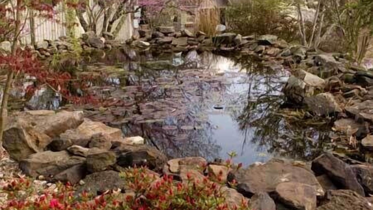 Photo of Outdoor in Eureka Springs
