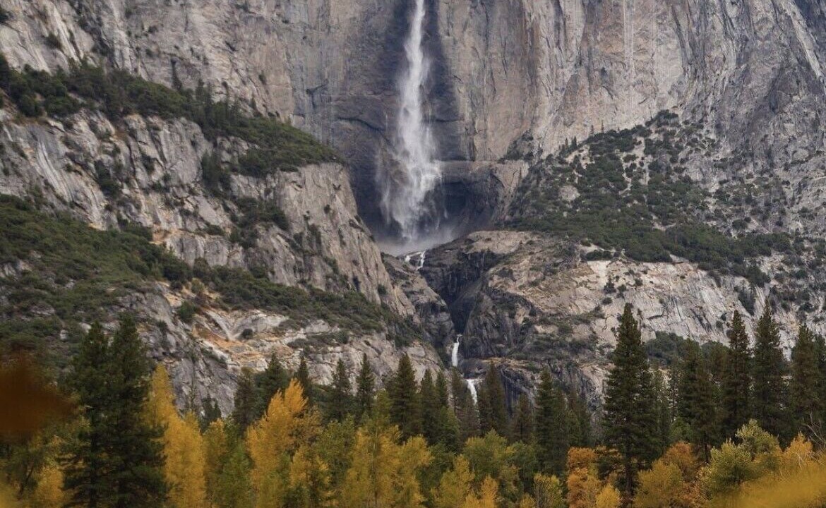 Photo of Others in Fish Camp