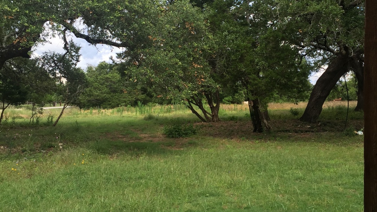 Photo of Outdoor in Dripping Springs