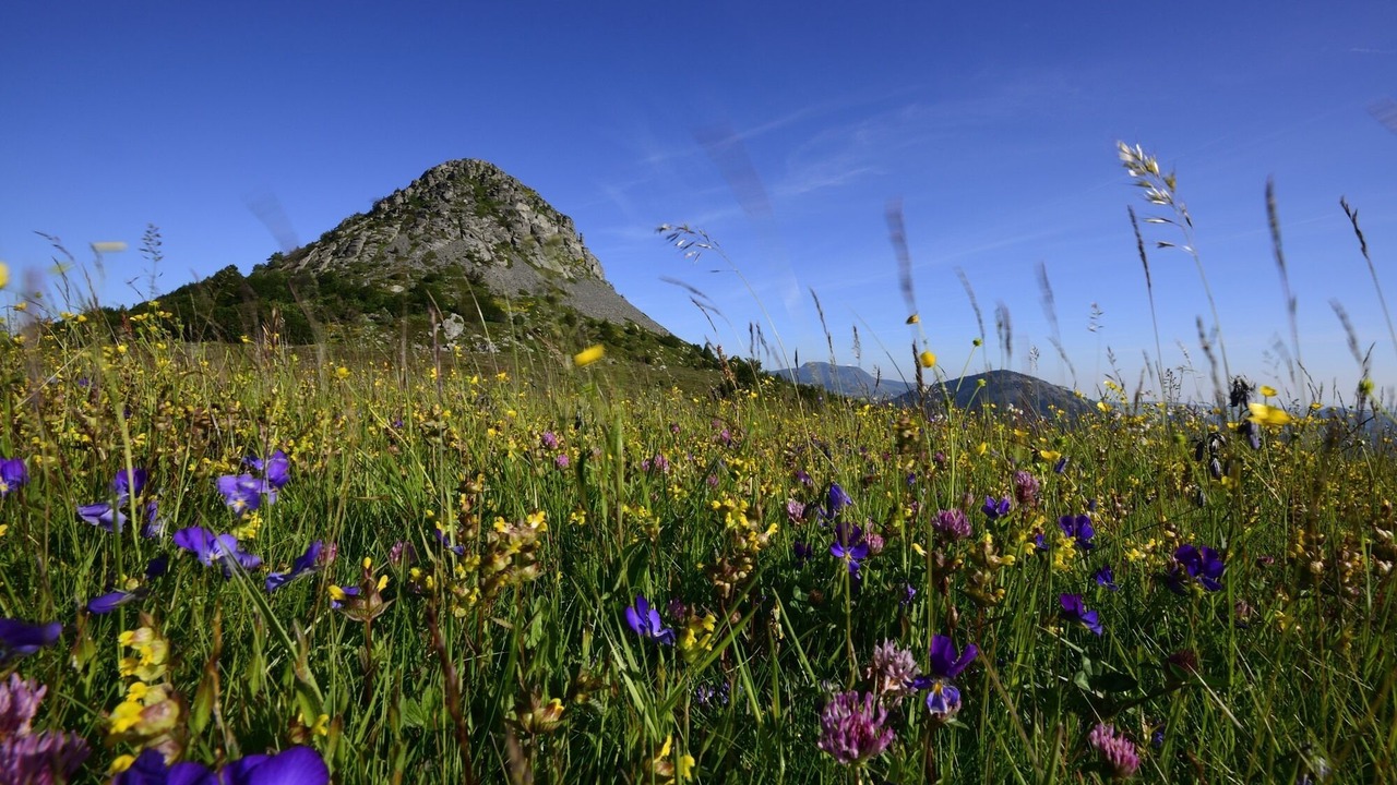 Photo of Outdoor in Payzac