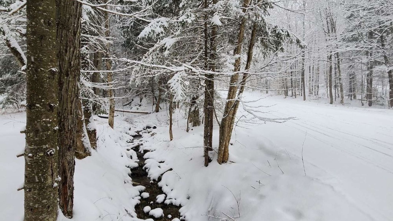 Photo of Others in Killington