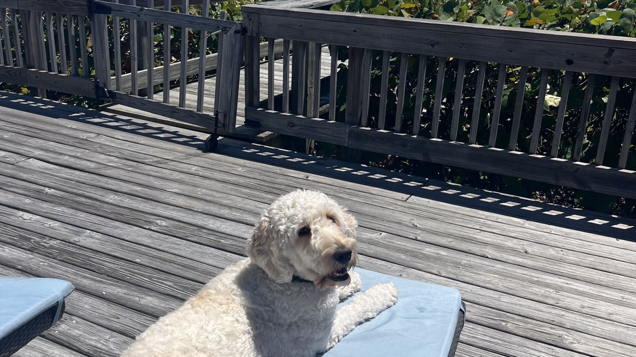 Photo of Outdoor in Crescent Beach