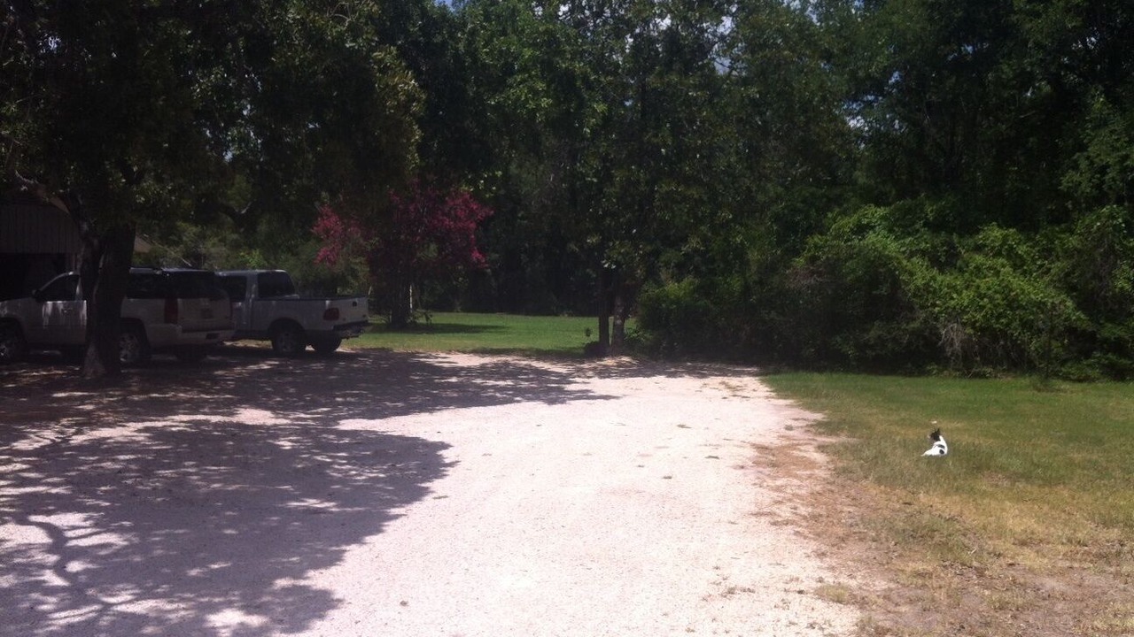 Photo of Others in Harvey Hillsides