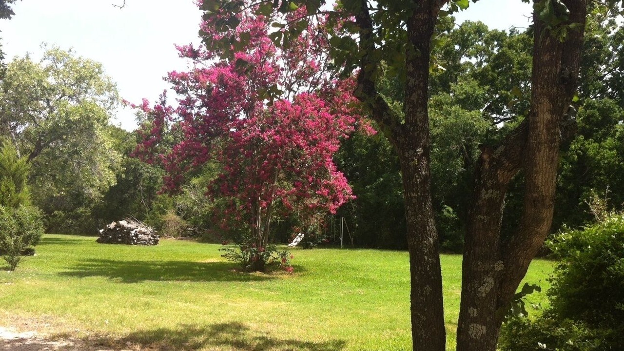 Photo of Others in Harvey Hillsides