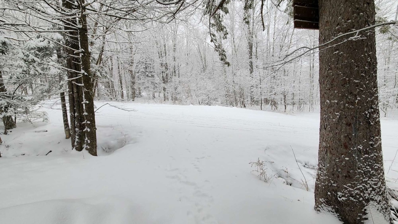 Photo of Others in Killington