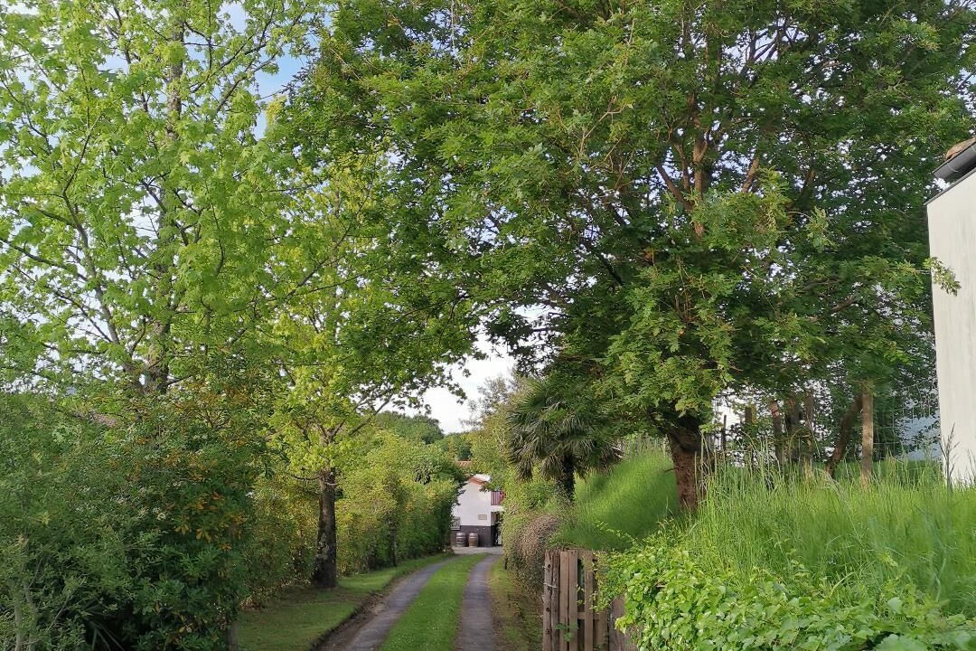Photo of Outdoor in Ascain