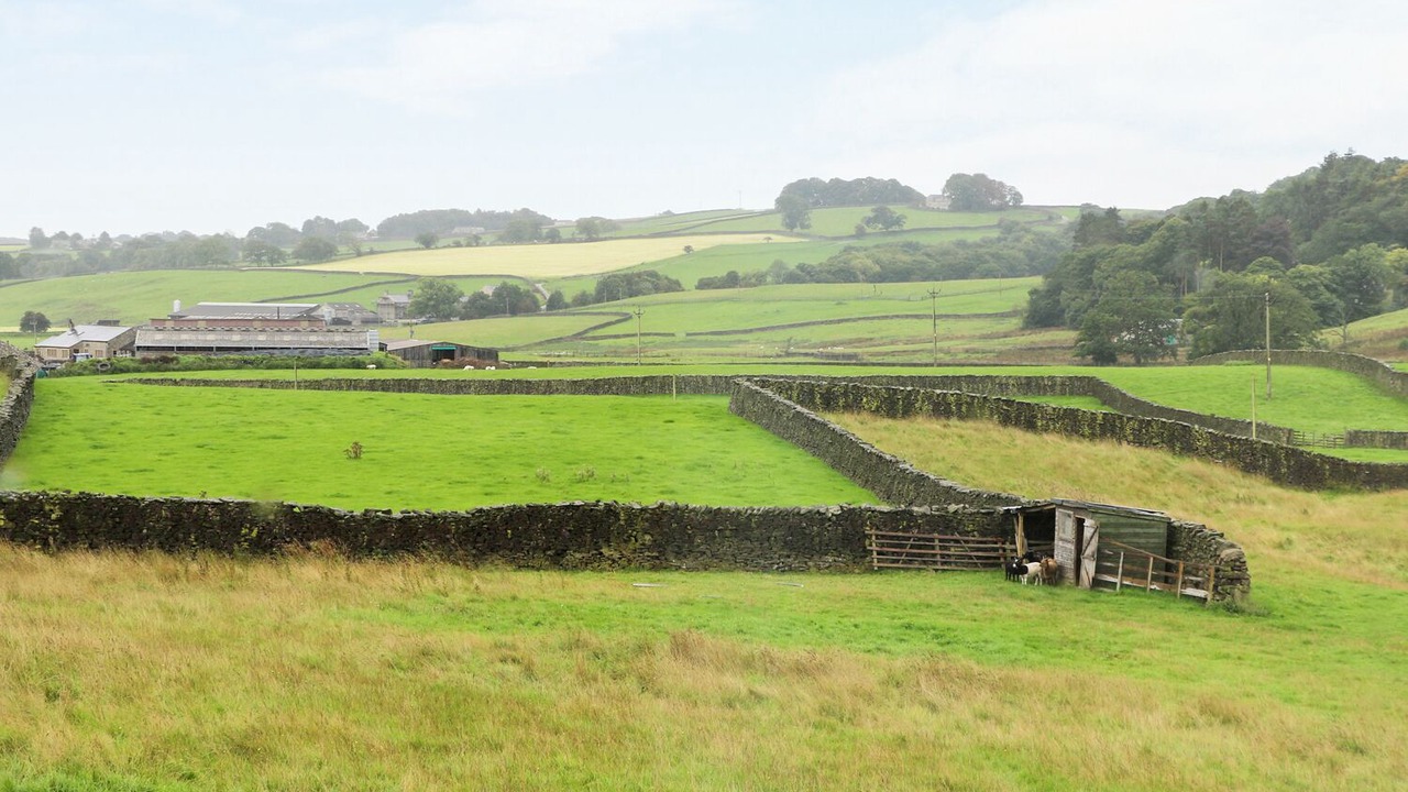 Photo of Others in Settle