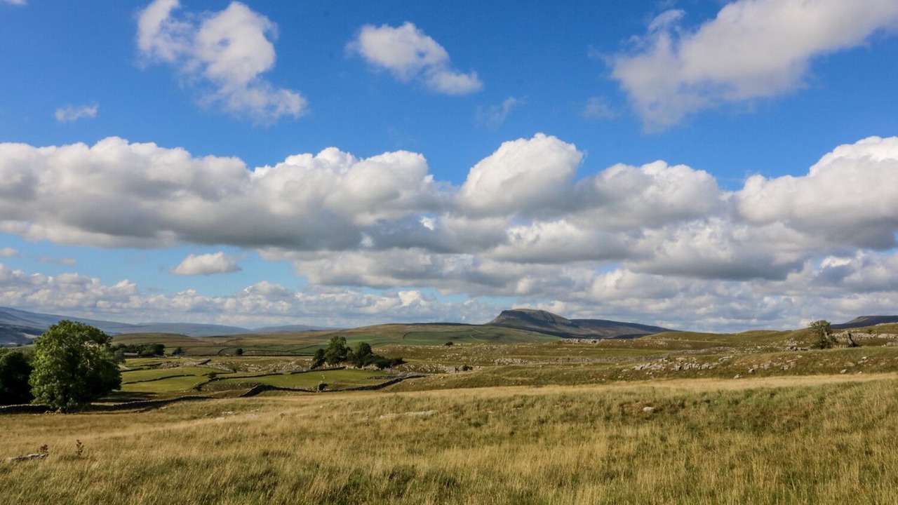 Photo of Others in Settle