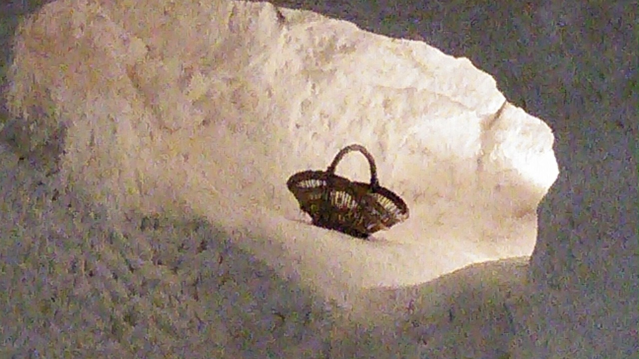 Photo of Others in Villaines-les-Rochers