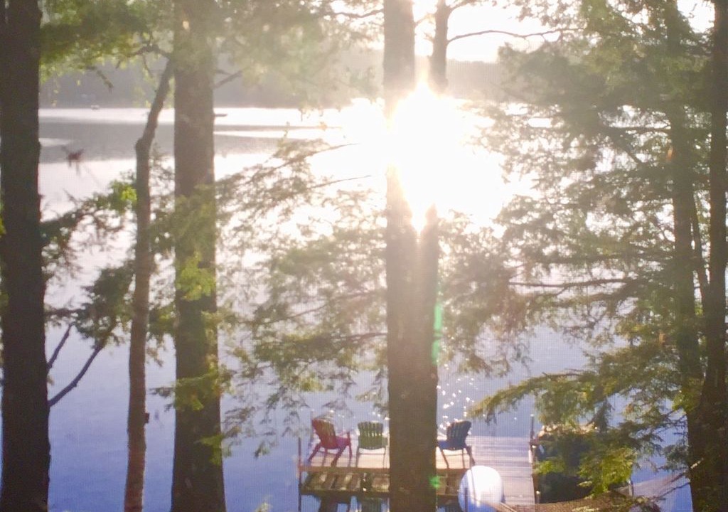 Photo of Others in Enfield