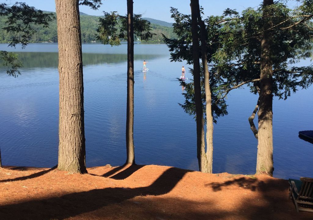 Photo of Others in Enfield