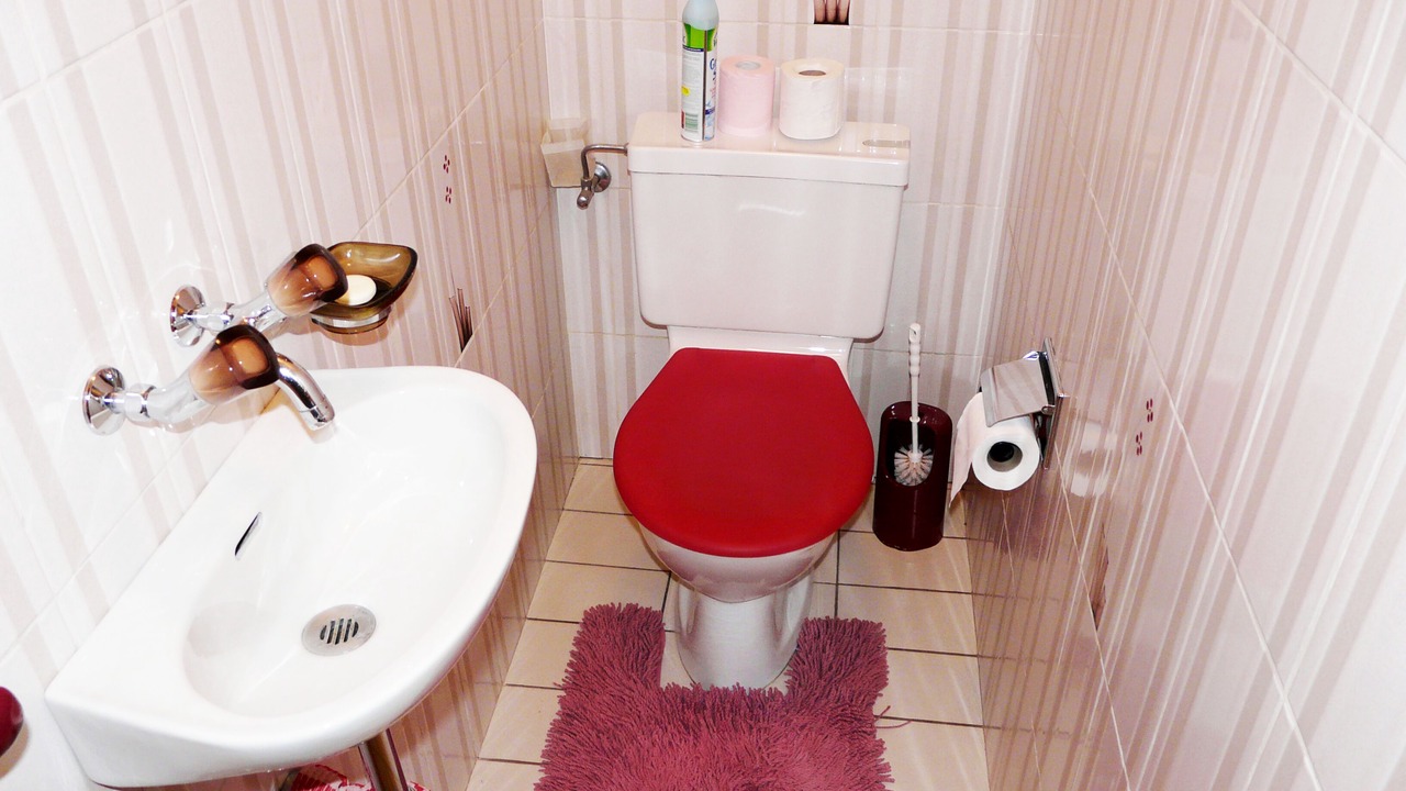 Photo of Bathroom in Morgins