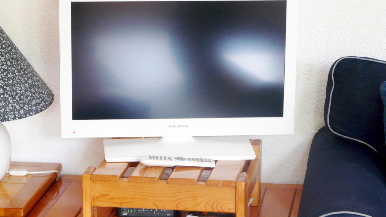 Photo of Livingroom in Morgins
