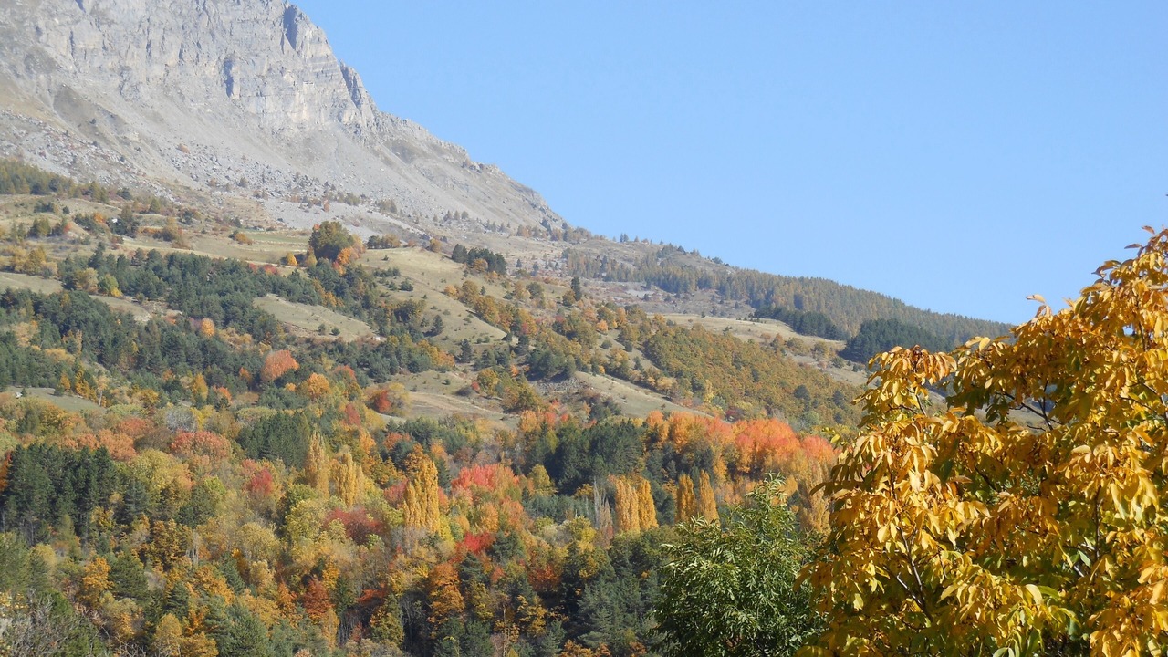 Photo of Others in Chorges