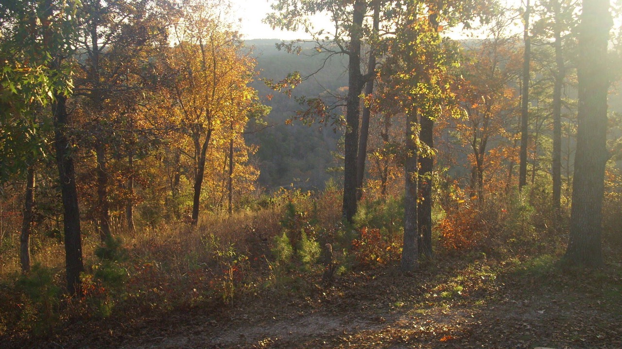 Photo of Others in Mount Judea