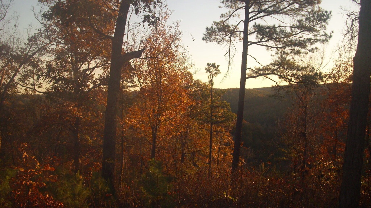 Photo of Others in Mount Judea