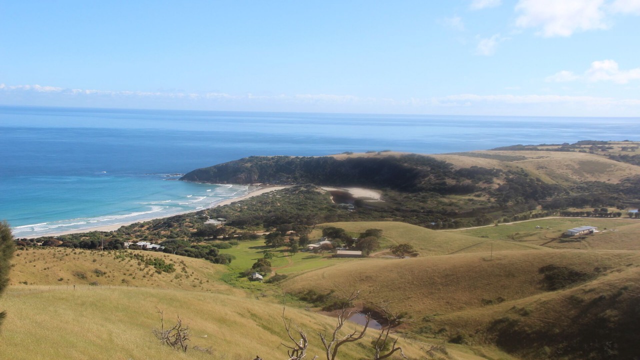 Photo of Others in Duncan