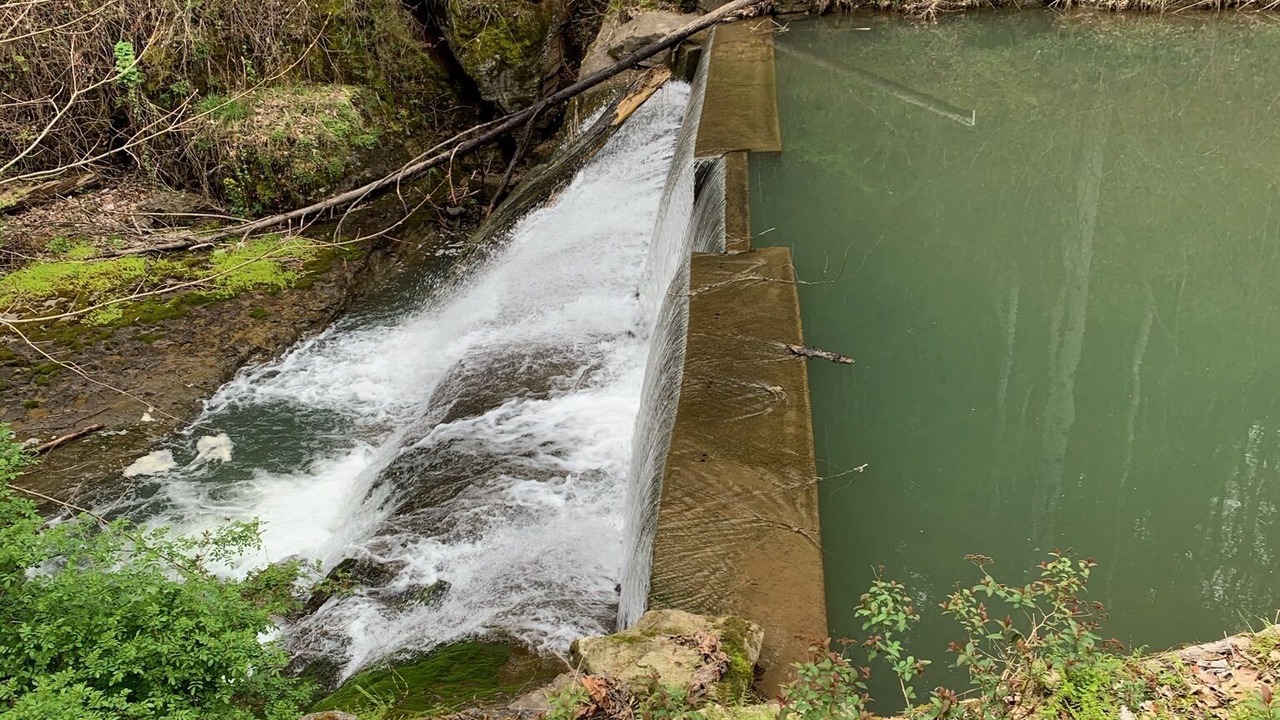 Photo of Others in Warm Springs