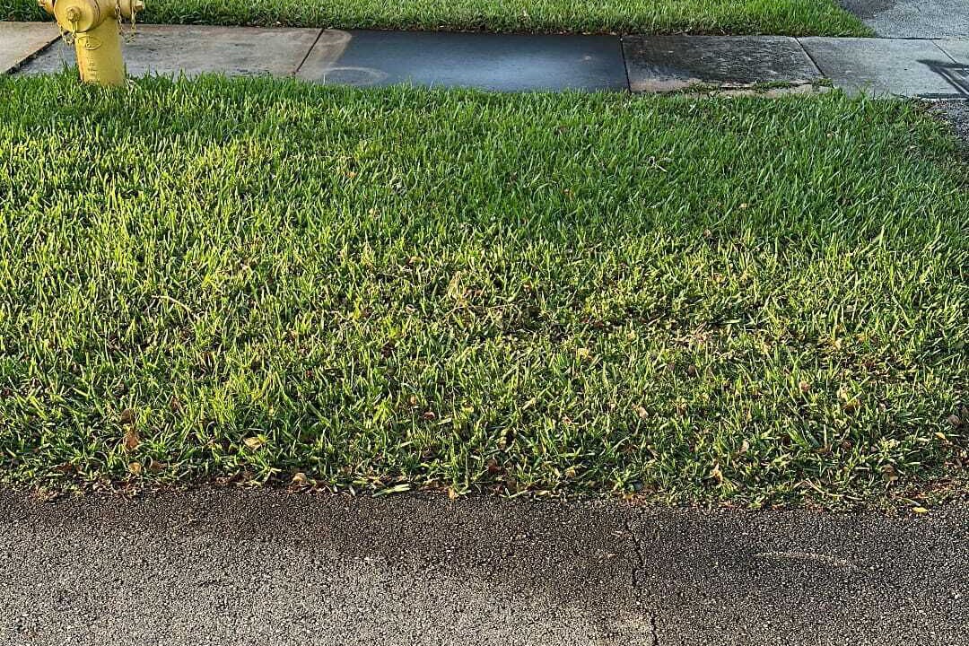 Photo of Outdoor in Plantation