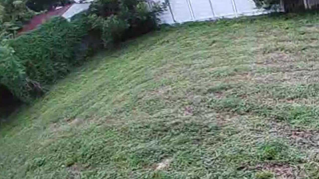 Photo of Outdoor in Plantation