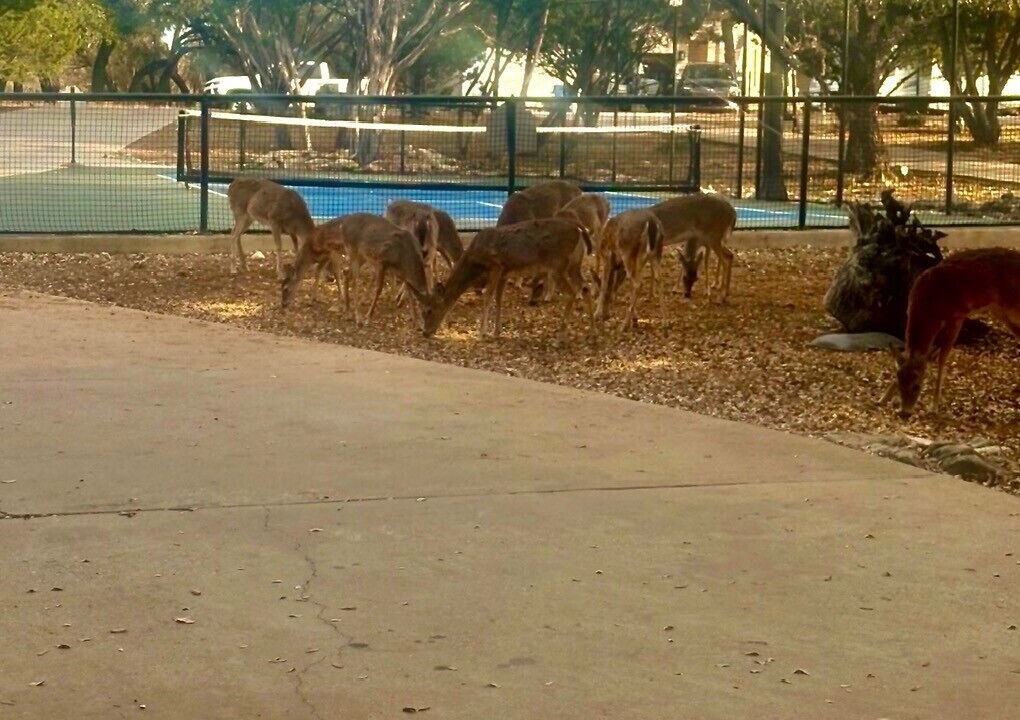 Photo of Others in Highland Lake Estates