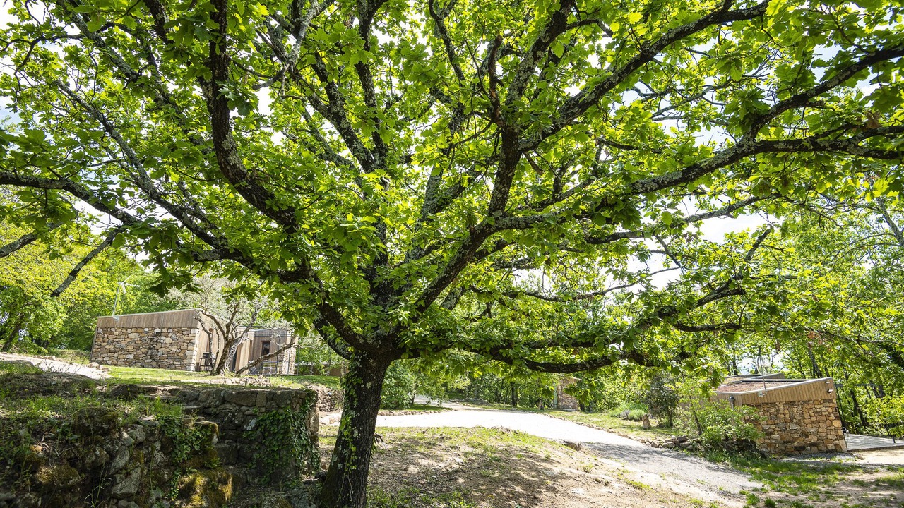 Photo of Outdoor in Payzac