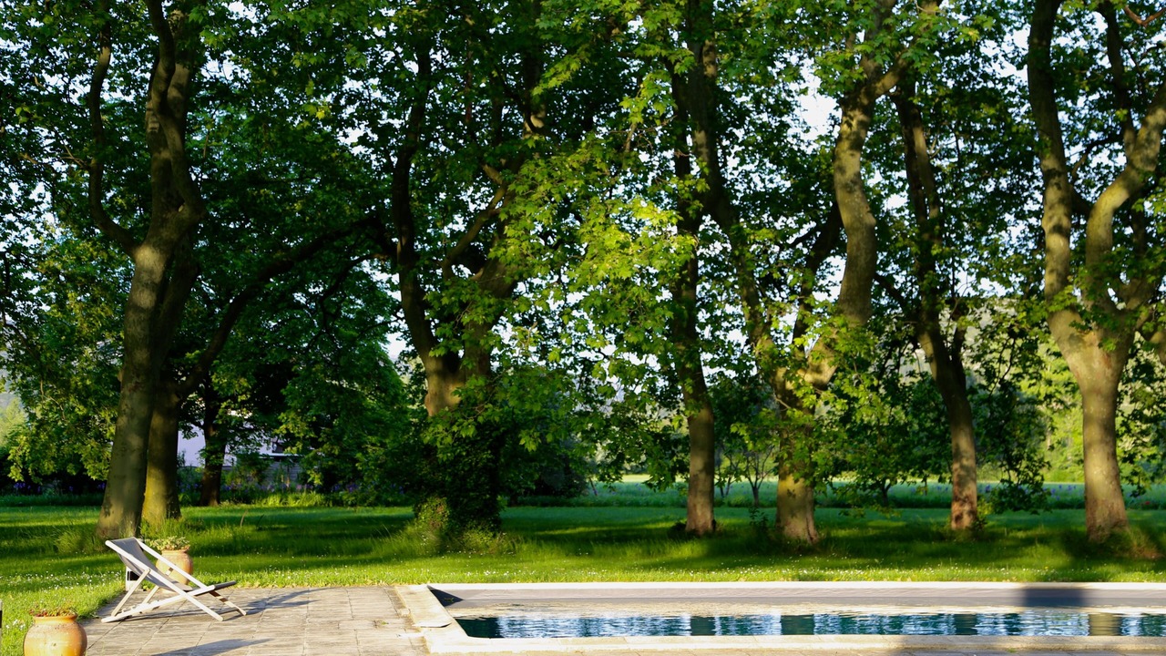 Photo of Outdoor in Montlaur