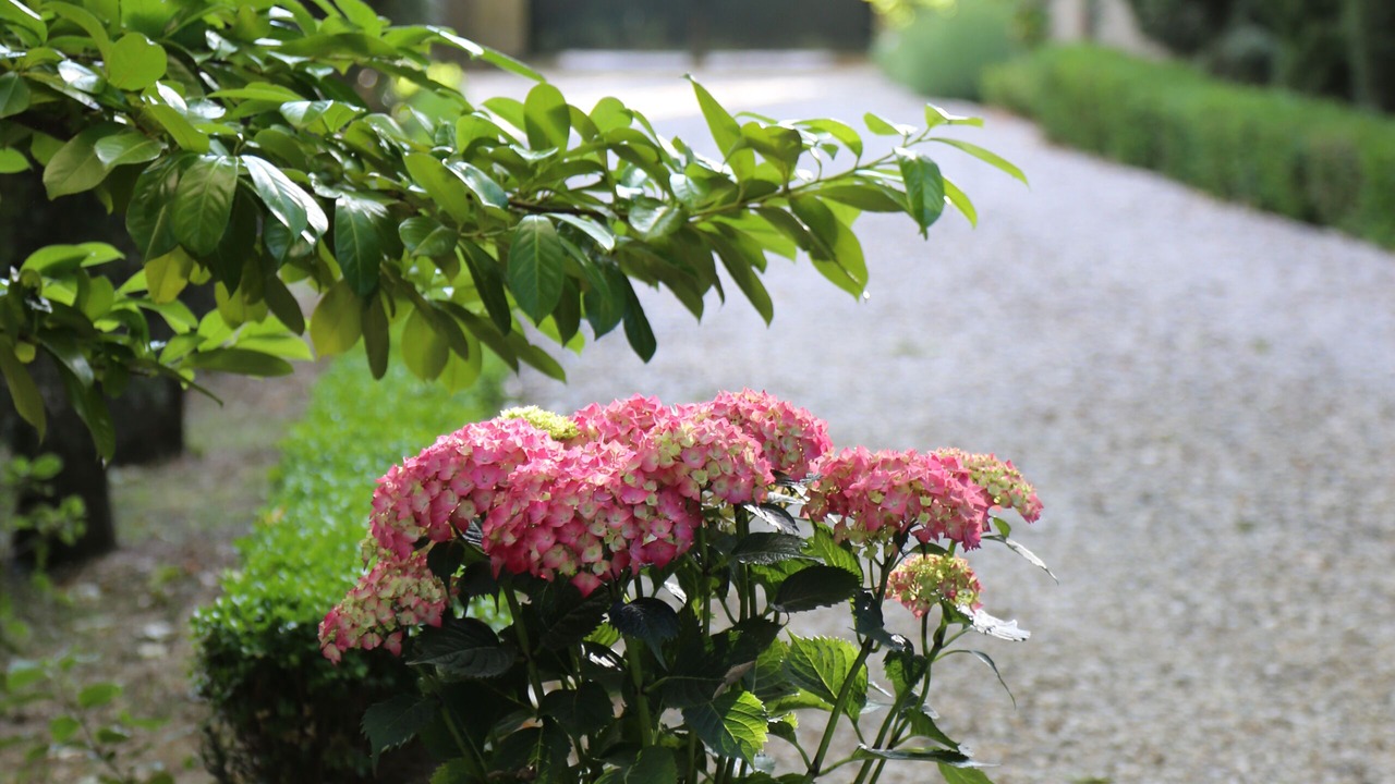 Photo of Outdoor in Montlaur