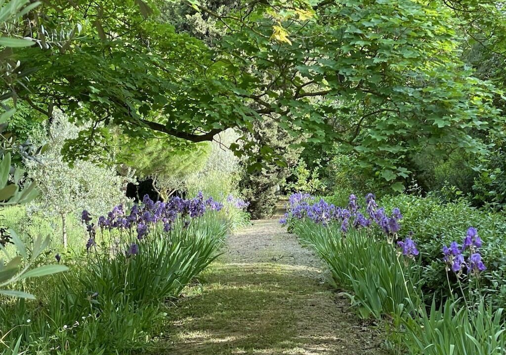 Photo of Outdoor in Montlaur