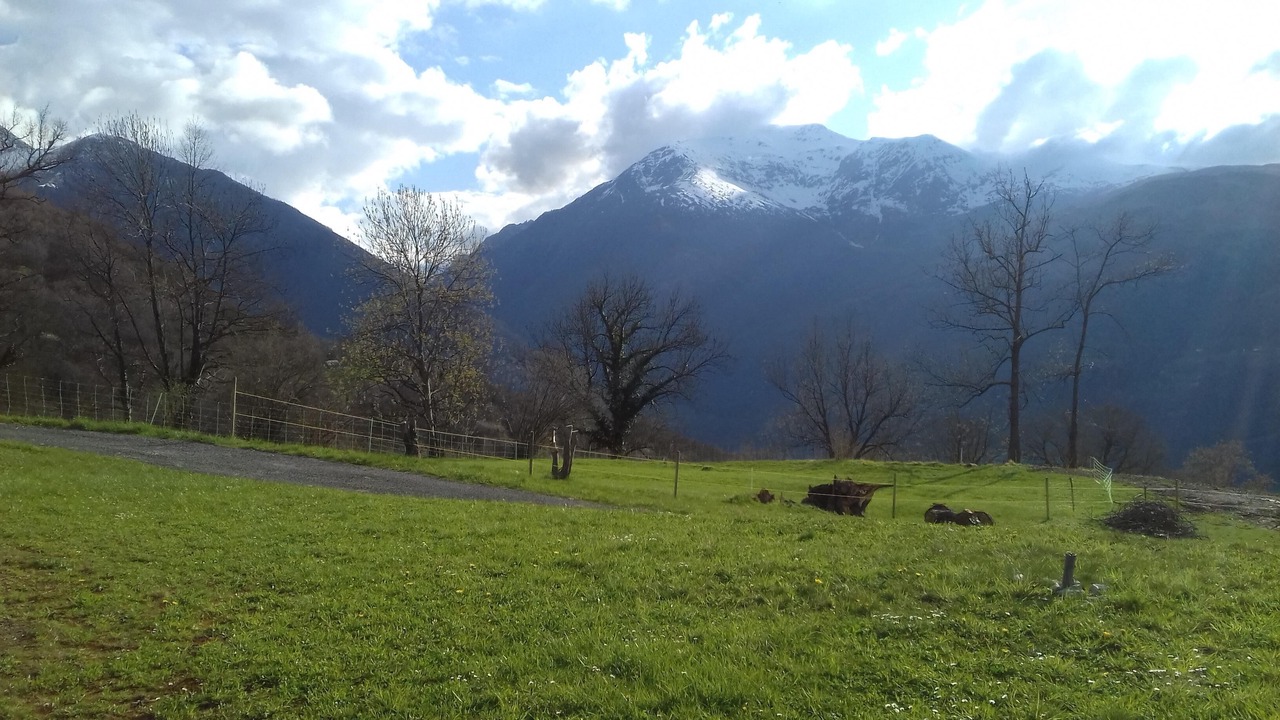 Photo of Outdoor in Artalens-Souin