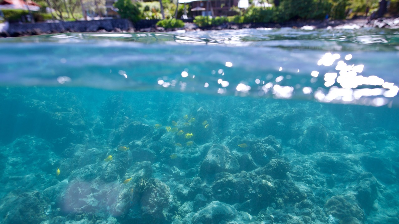 Photo of Others in Honaunau-Napoopoo