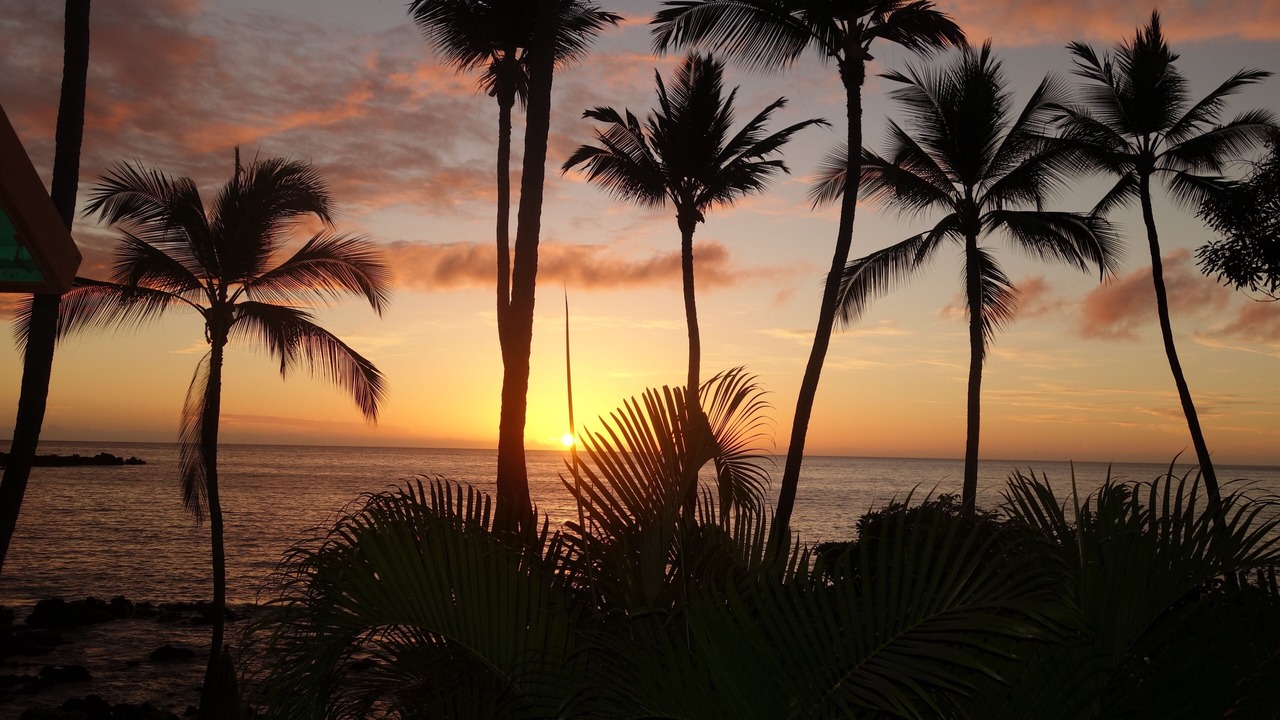 Photo of Others in Honaunau-Napoopoo