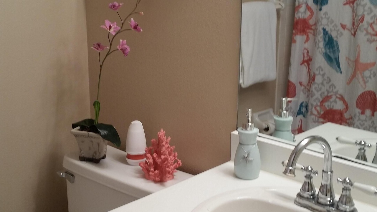 Photo of Bathroom in East Lake Woodlands