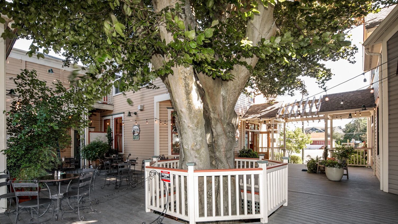 Photo of Others in La Conner